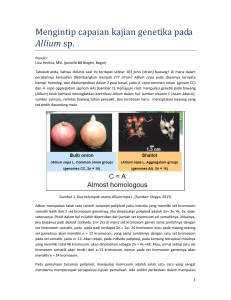 Mengintip capaian kajian genetika pada Allium sp.