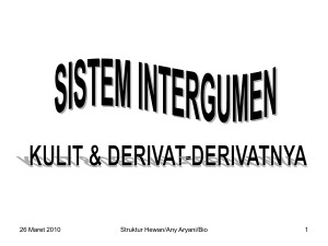 Sistem_Intergumen.pps