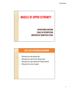 muscle of upper extremity