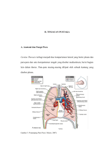 11 II. TINJAUAN PUSTAKA A. Anatomi dan Fungsi Paru Cavitas
