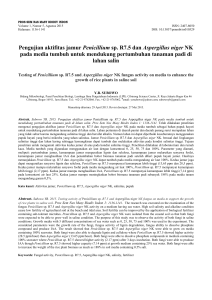 Pengujian aktifitas jamur Penicillium sp. R7.5 dan Aspergillus niger