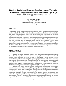 Deteksi Resistensi Plasmodium falciparum Terhadap Klorokuin