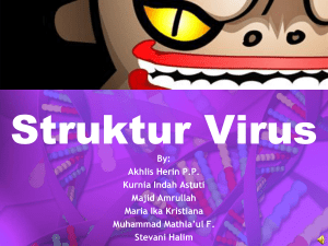 Struktur_Virus