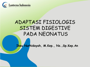 Adaptasi Fisiologis Sistem Pencernaan Neonatal