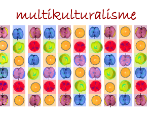 pluralisme/multikulturalisme