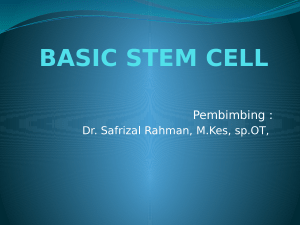 BASIC STEM CELL