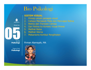 Bio Psikologi - Universitas Mercu Buana
