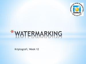 watermark Watermarking