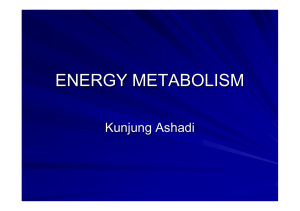 IV. Metabolisme Energi (Downlo