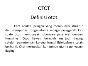 OTOT - WordPress.com