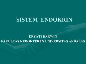 sistem endokrin - Repository Unand