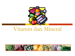 Vitamin dan Mineral - Web Kuliah : HM. Rohmadi