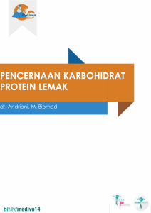 pencernaan karbohi protein lemak ncernaan