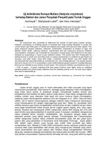 Uji Antimikroba Rumput Mutiara - Publikasi Online Fakultas Biologi