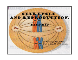 cell cycle and reproduction.
