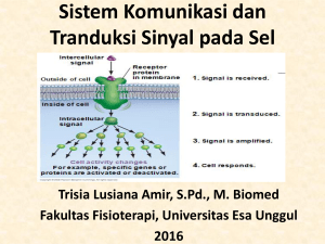 Struktur dan Fungsi Sel - Universitas Esa Unggul