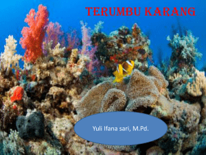 terumbu karang - Repository UNIKAMA