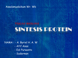 ppt sintesis protein