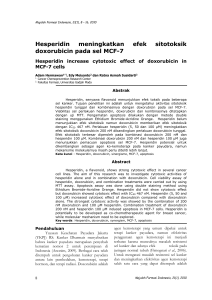 Hesperidin meningkatkan efek sitotoksik doxorubicin pada sel MCF-7