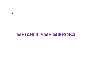 metabolisme mikroba - E