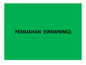 pemijahan (spawning)