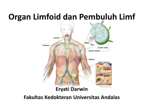 Organ Limfoid dan Pembuluh Limf