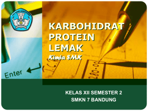 Karbohidrat, lipid dan protein2009-08