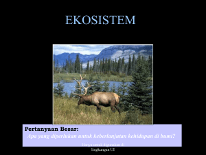 ekosistem - SCeLE