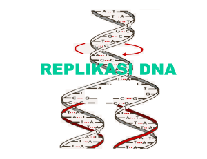 REPLIKASI DNA Pokok Bahasan