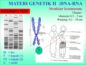 MATERI GENETIK II :DNA-RNA