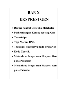 doc - Ekspresi Gen