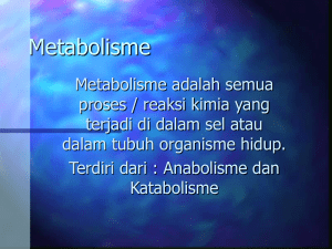Metabolisme - Himbio Unpad