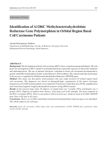 Identification of A1286C Methylenetetrahydrofolate Reductase Gene