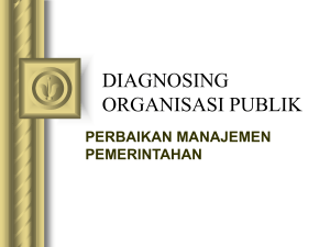 diagnosing organisasi publik