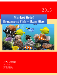 Market Brief Ornament Fish – Ikan Hias