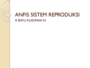 anfis-sistem-reproduksi