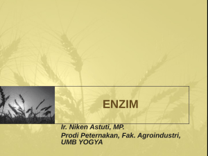 Ir. Niken Astuti, MP. Prodi Peternakan, Fak. Agroindustri, UMB YOGYA