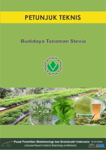 petunjuk teknis budidaya tanaman stevia