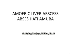 abses liver amoeba