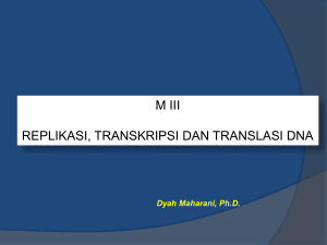 M III (replikasi-transkripsi-translasi DNA) 3 MAR