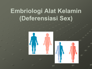 Embriologi Alat Kelamin (Deferensiasi Sex)