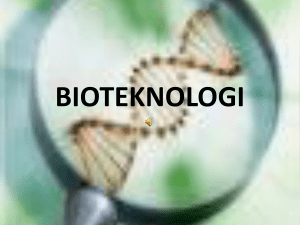 Perbandingan Bioteknologi Konvensional dan Modern