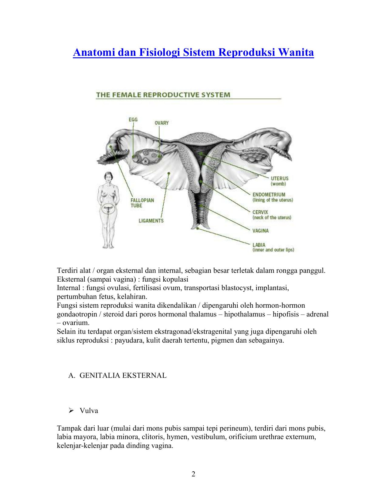 Anatomi Dan Fisiologi Sistem Reproduksi Wanita