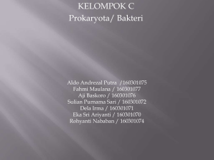 KELOMPOK C Prokaryota/ Bakteri