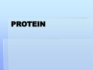 Protein - Web Kuliah : HM. Rohmadi