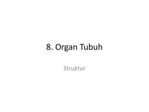 SAP 8 Organ Tubuh