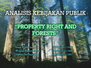 ANALISIS KEBIJAKAN PUBLIK *PROPERTY RIGHT AND FORESTS*