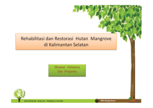 Rehabilitasi dan Restorasi Hutan Mangrove di Kalimantan