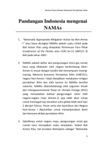 Pandangan Indonesia mengenai NAMAs