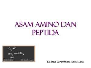 Asam Amino dan Peptida